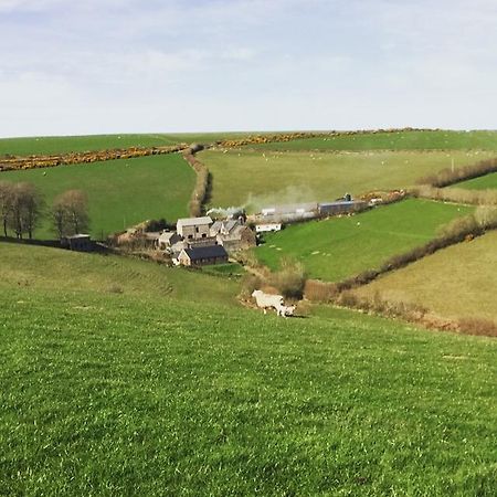 Coombe Farm Bed & Breakfast Линтън Екстериор снимка